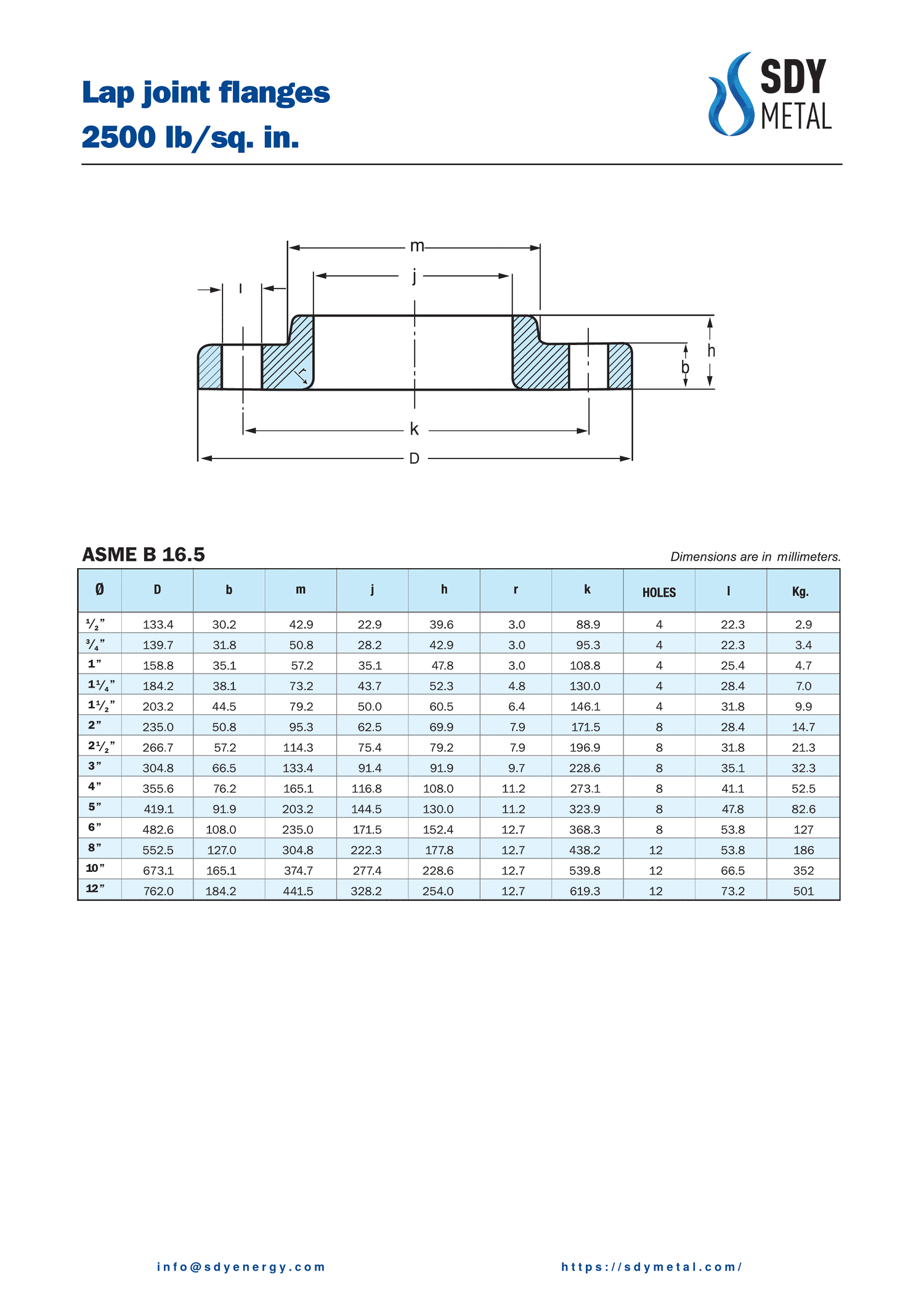 2500 LB Lap Joint Flanş ASME B16.5 teknik dokümanı