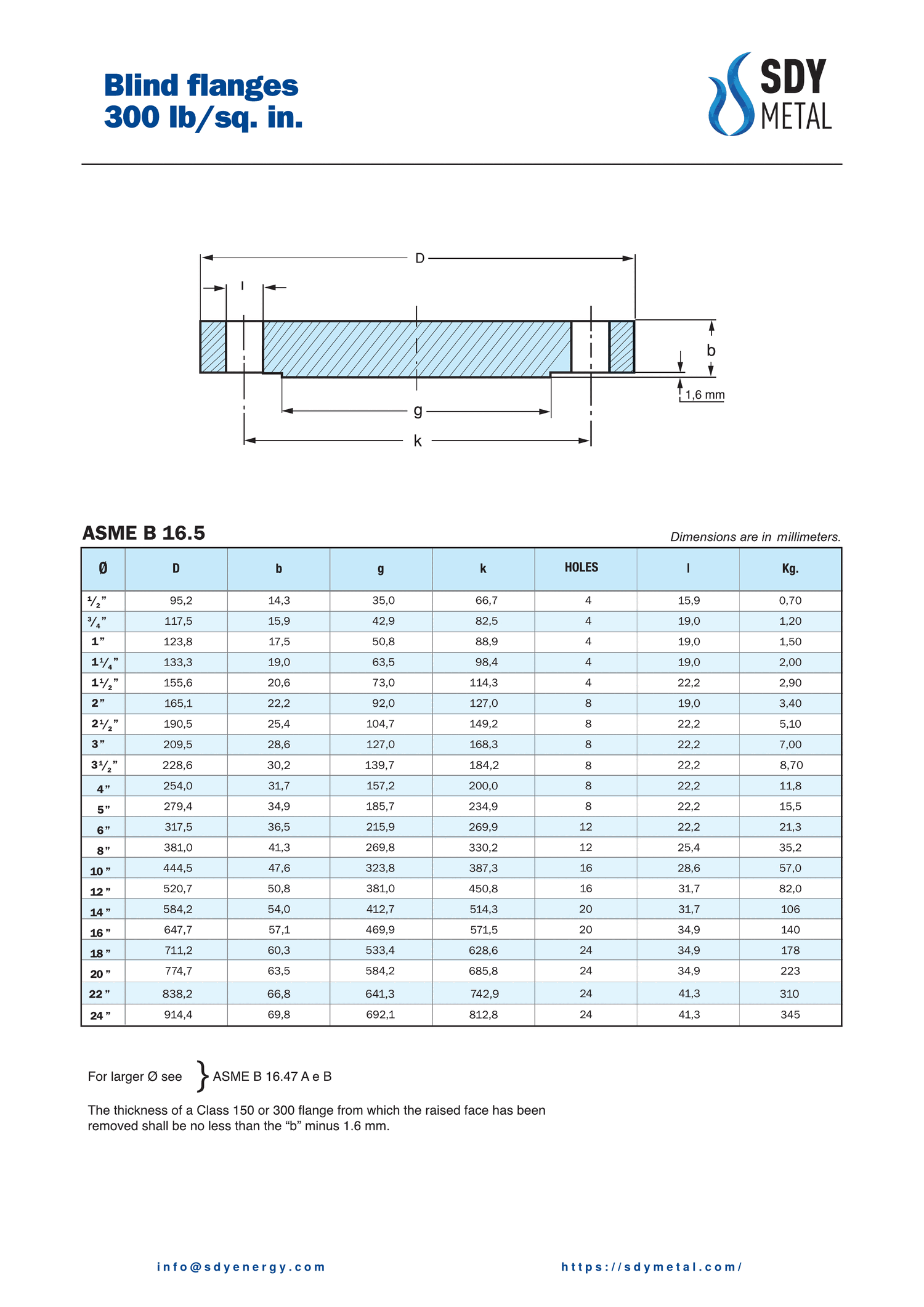 300 LB Kör Flanş ASME B16.5 teknik dokümanı