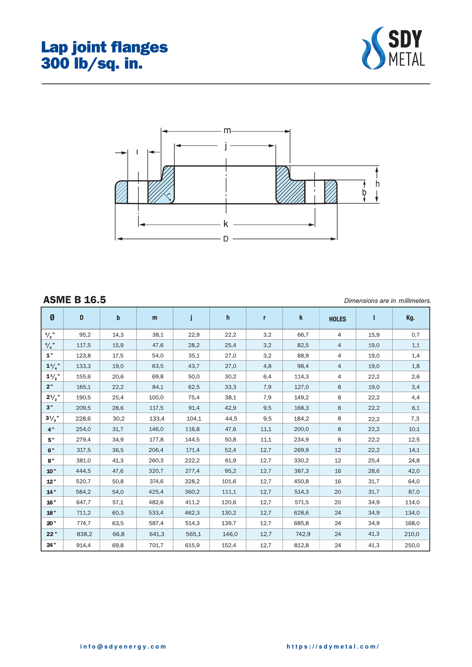 300 LB Lap Joint Flanş ASME B16.5 teknik dokümanı