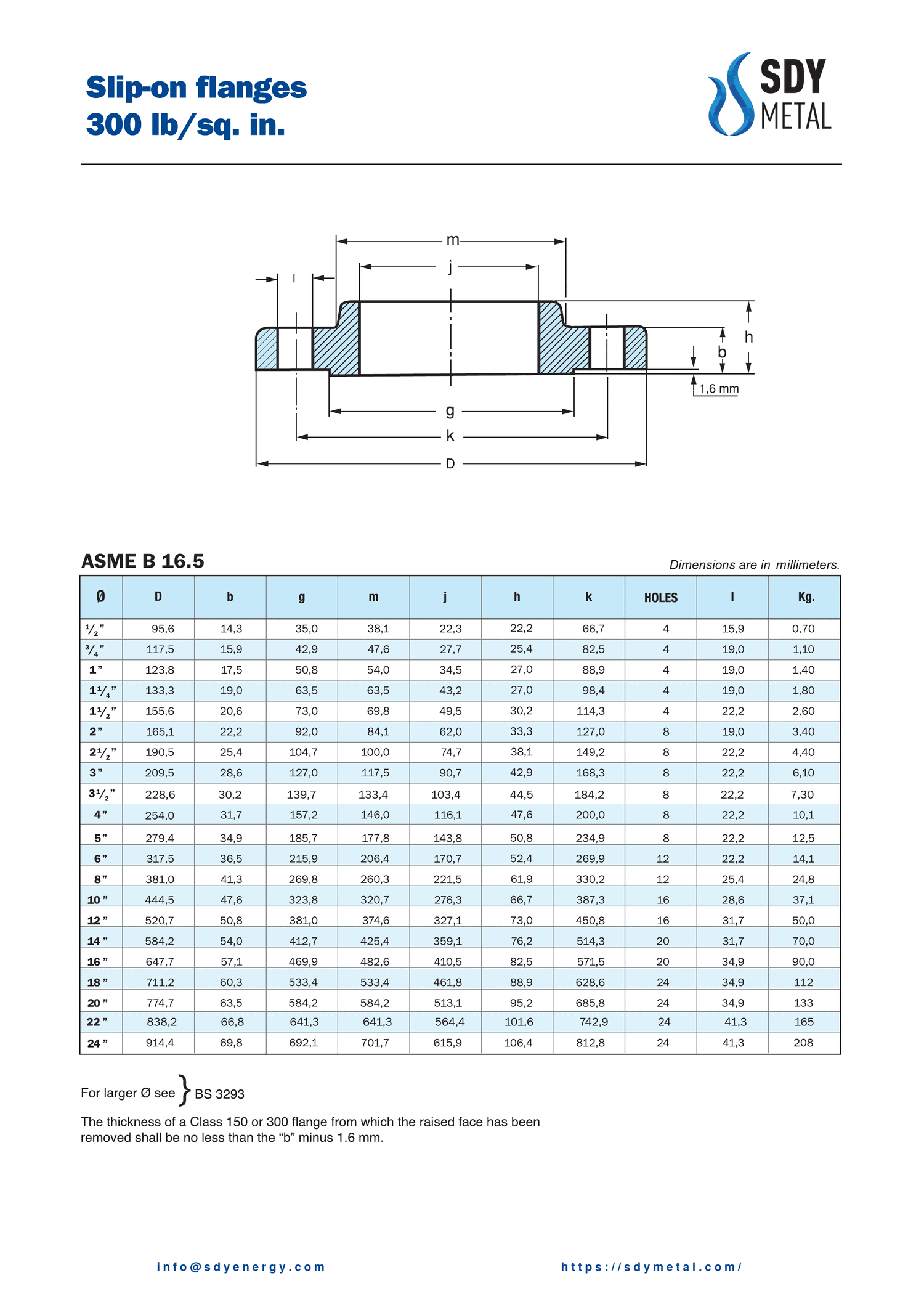 300 LB Slip On Flanş ASME B16.5 teknik dokümanı