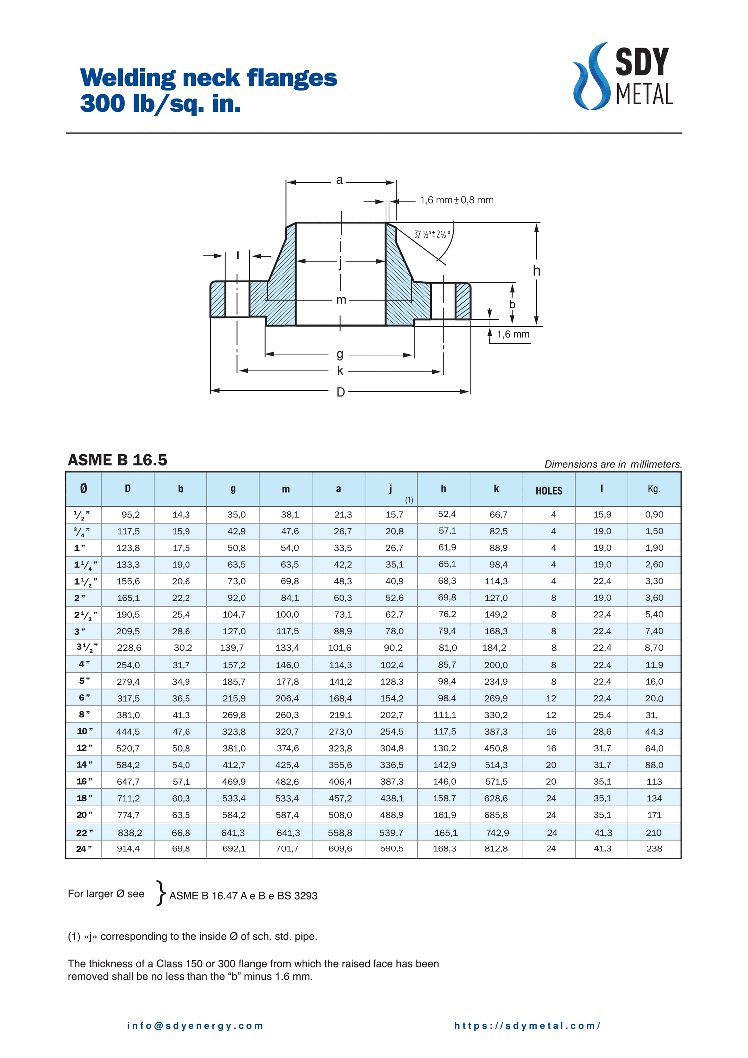 300 LB Welding Neck Flanş ASME B16.5 teknik dokümanı