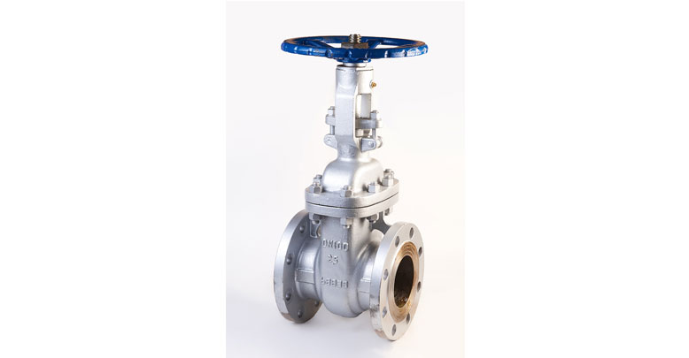 ANSI Casted Valves